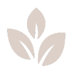 Environmental Sustainability